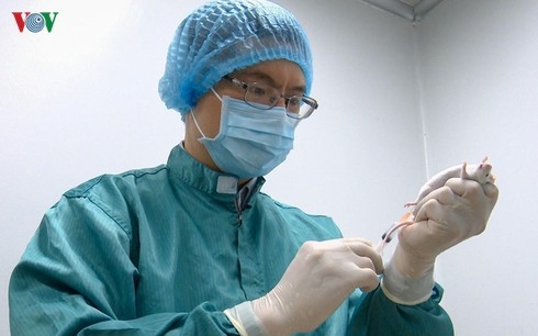 New COVID-19 strain won’t affect Vietnam’s vaccine study new covid 19 strain wont affect vietnams vaccine study